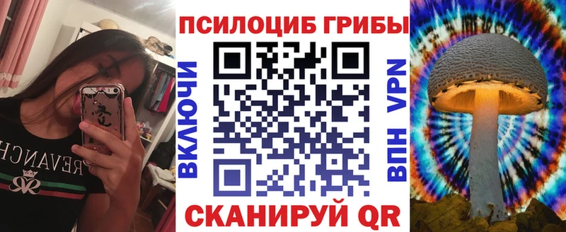 где купить наркотик  Никольск  Псилоцибиновые грибы ЛСД 