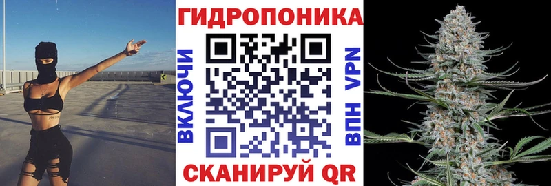 наркота  Никольск  Канабис Amnesia 